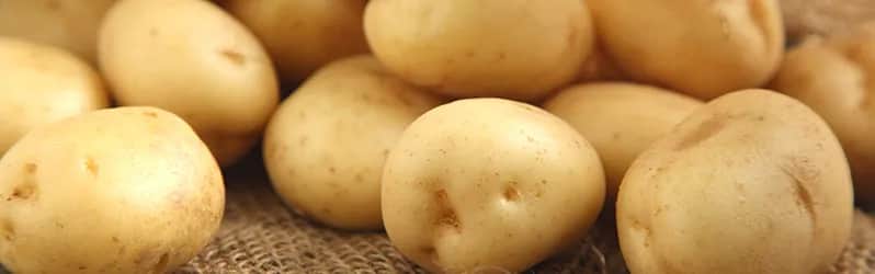 Co na obiad z ziemniakami? 10 pysznych przepisów, które zaskoczą