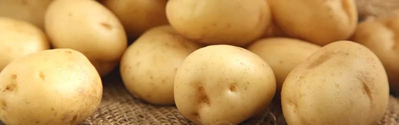 Co na obiad z ziemniakami? 10 pysznych przepisów, które zaskoczą